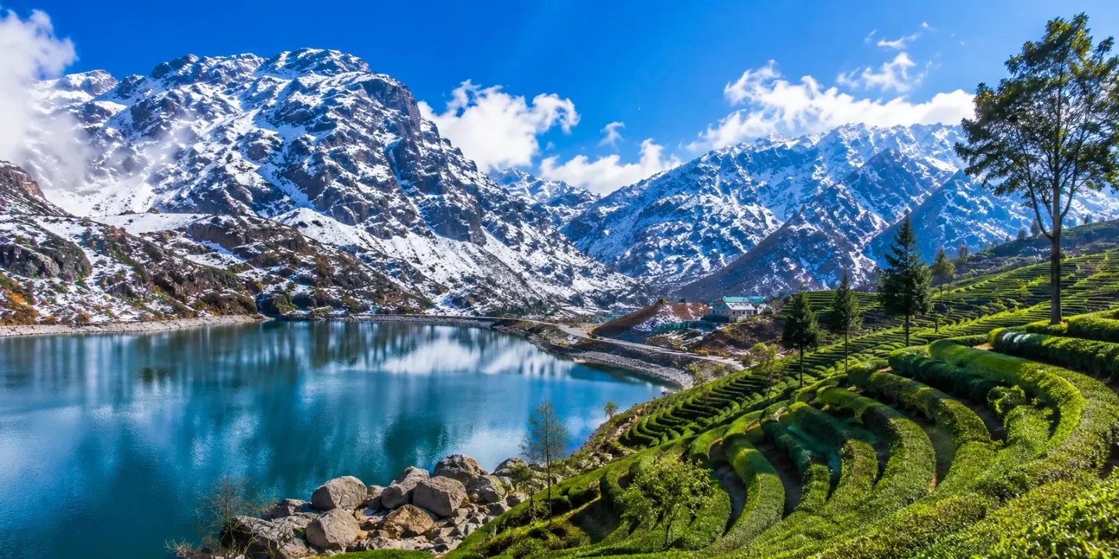 Sikkim & Darjeeling