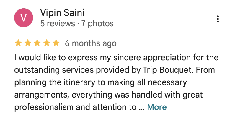 Google review from Vipin Saini
